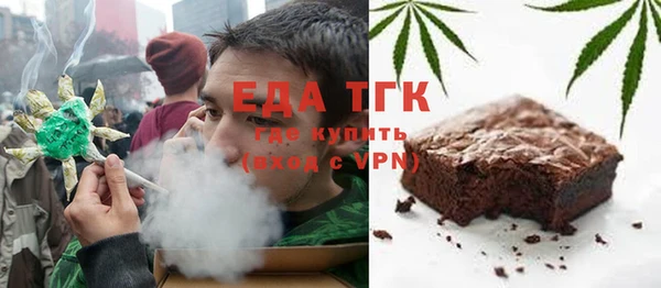 индика Инсар