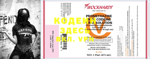 индика Инсар