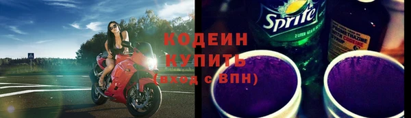индика Инсар