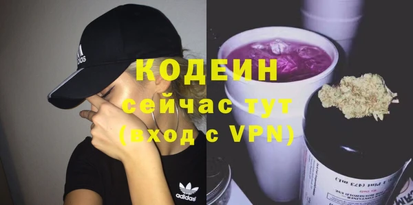 индика Инсар