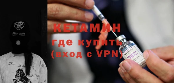 индика Инсар