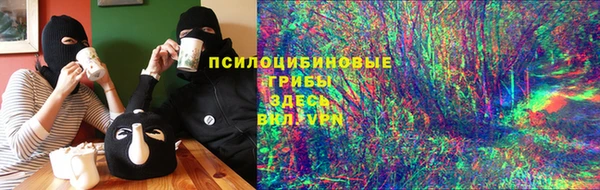 индика Инсар