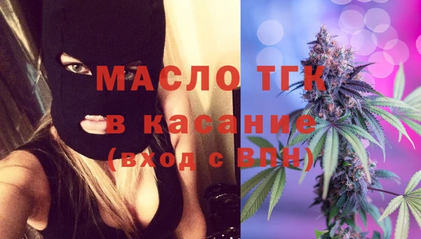 индика Инсар