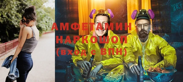 индика Инсар