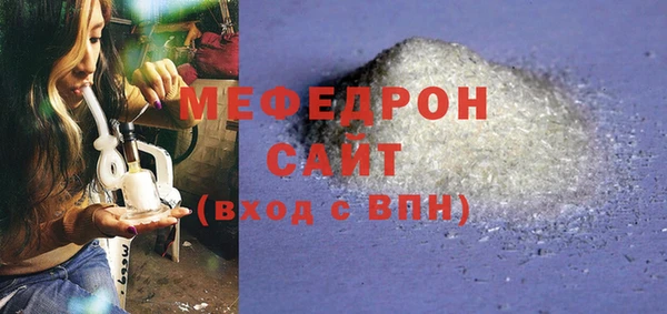 индика Инсар