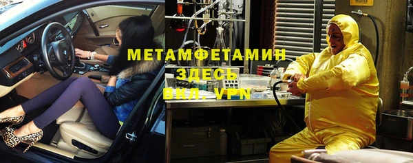 индика Инсар