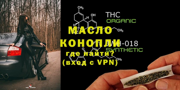 индика Инсар