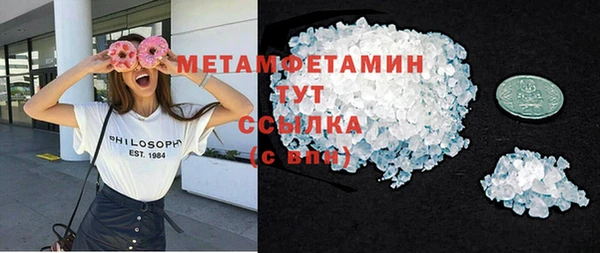 индика Инсар