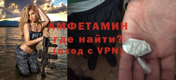 индика Инсар