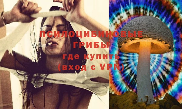 индика Инсар