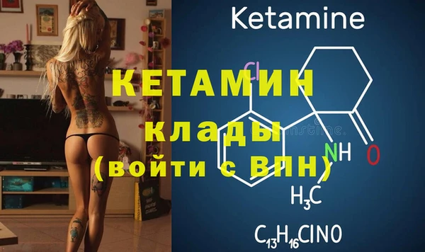 индика Инсар