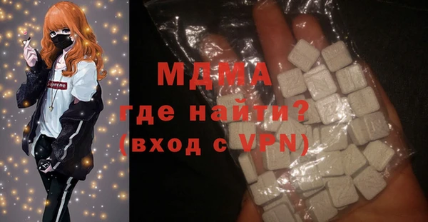 индика Инсар