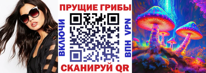 mega рабочий сайт  где найти наркотики  Октябрьский  Галлюциногенные грибы Psilocybine cubensis 